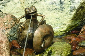 Brass Frog Spitter on Apple Core by Aquascape (New for 2008!)