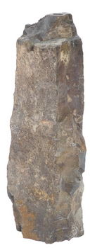 Rim Rock Spires - 9-Pack Variety