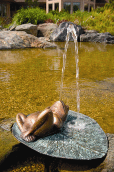 Lazy Frog Spitter by Aquascape - Small, Medium, and Large