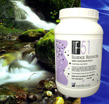 F-51 Sludge Reducer by Diversified Waterscapes (5 LBS)/1665Sq Ft-Site Specific