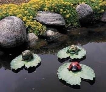 Lily Pad Animals