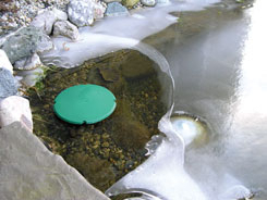 Heated Pond Saucer