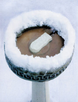 Ice Eliminator Birdbath De-Icer by K & H Pet Products