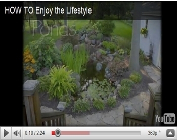 How to Enjoy the Lifestyle