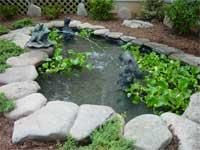 Ornamental Pond Liners - Preformed, Foldable Pond Liner System