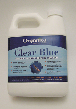 Clear Blue Pond
