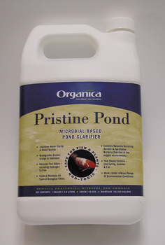 Prestine Pond
