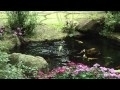 Aquascape Water Feature Teaser Video