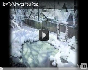 Winterizing the Pond Video from Aquascape!