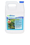 1 gallon (Treats up to 384,000 gal) - 29303