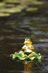 Frog on Lily Pad Boat - 98223