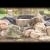 Step by Step Waterfall Construction