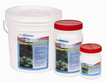 algae control