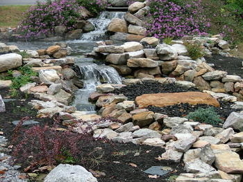 Front yard ponds | Pond Pictures Front yard ponds | Pond Pictures on Front Yard Pond id=68631