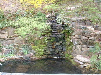 Image Michael and Devin's Waterfalland Koi Pond