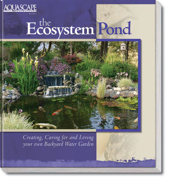 The EcoSystem Pond | ARCHIVE