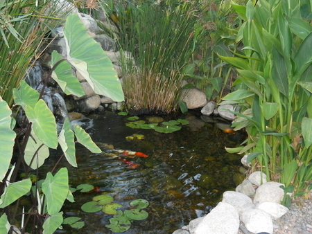 Image EdnLourdes' Pond