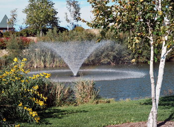 Kasco Decorative Fountains 4400JF & 4400HJF - 1hp | Kasco Floating Decorative Fountains