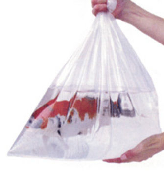 Fish Bags  Fish Bags