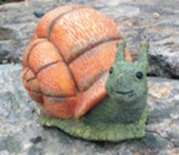 Snail - 6