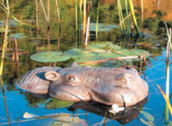 Floating Hippo Head - 16