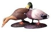Upright Drake (Male) | Statuary