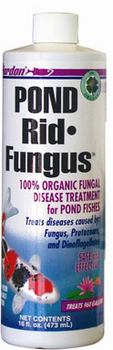 Pond Rid-Fungus by Kordon | Fish Care (Protection & Treatment)