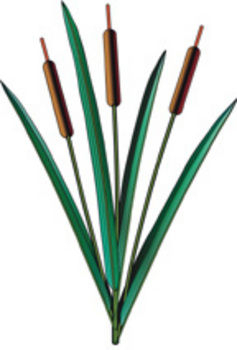 Imitation Cattail | ARCHIVE