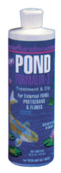 Kordon Pond Formalin 3 | ARCHIVE