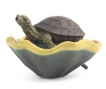 Floating Turtle on Pad | ARCHIVE