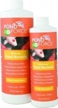 Pond Water Treatment | All Season Pond Bacteria