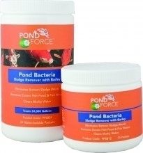 Pond Bacteria Sludge Remover w/ Barley by Pond Force | Bacteria/Enzymes