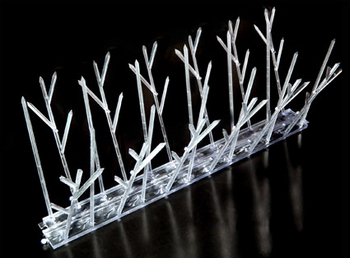 Pond Decoy, Predator Control | Bird Spikes