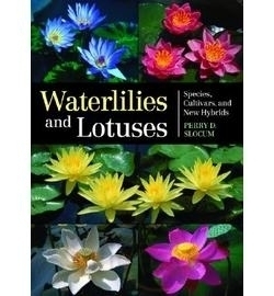 Waterlilies and Lotuses: Species, Cultivars, and New Hybrids by Perry D. Slocum | ARCHIVE
