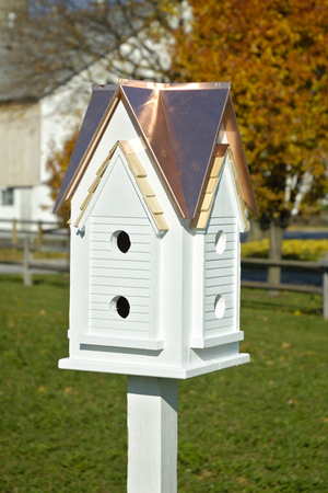 Victorian Mansion Birdhouse by Heartwood | Bird Houses