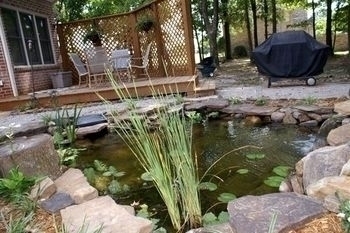 Image The Bryant's Pond 5,TN