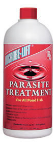 Parasite Treatment by Microbe-Lift | Disease Treatment