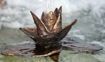 Water Lily Brass Spitter by Roxanne Skene | New for 2011