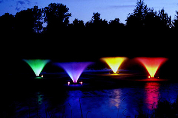Halogen Bulbs by Kasco | Halogen Lights