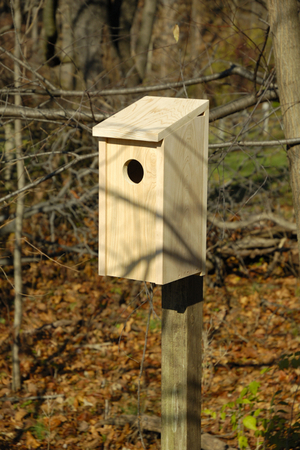 Chickadee Joy Box by Heartwood | Bird Houses