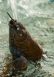 Koi Fish Bronze Spitter by Roxanne Skene | ARCHIVE