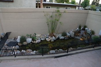 Image Lori & Charlie's Pond Makeover