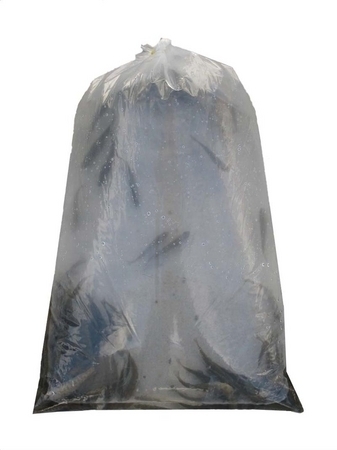 Fish Shipping Bags | New For 2014