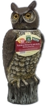 Rotating Head Owl | Owl Decoys