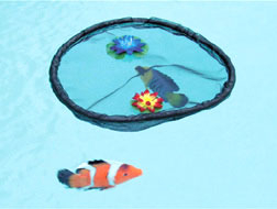 Nycon Koi Feeder/Viewer Rings | New for 2011