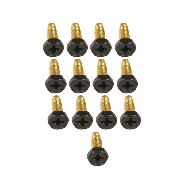 Screws Mat Brass (13 Pack) - 54001 | ARCHIVE