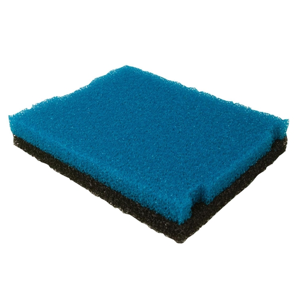 Replacement Foam | Tetra