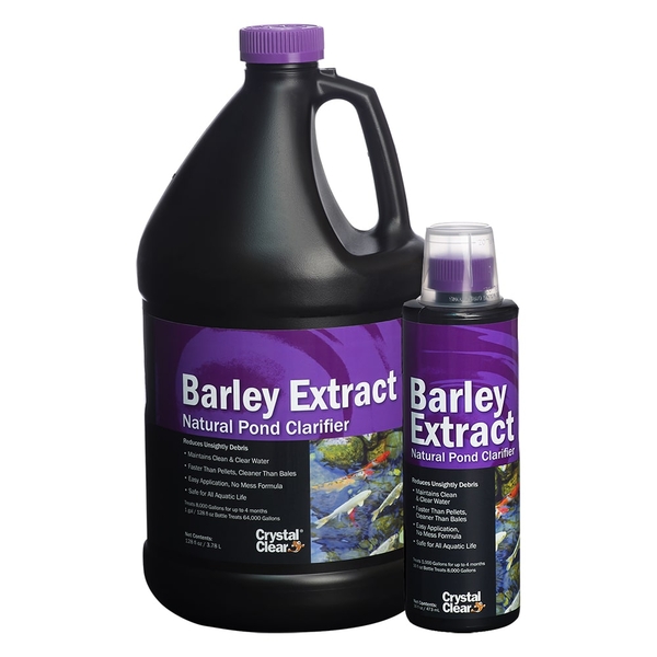 Crystal Clear Barley Extract Liquid | Barley Straw 