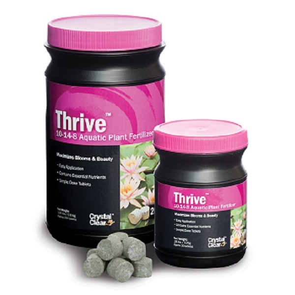 Thrive by Crystal Clear 10-14-8 | ARCHIVE