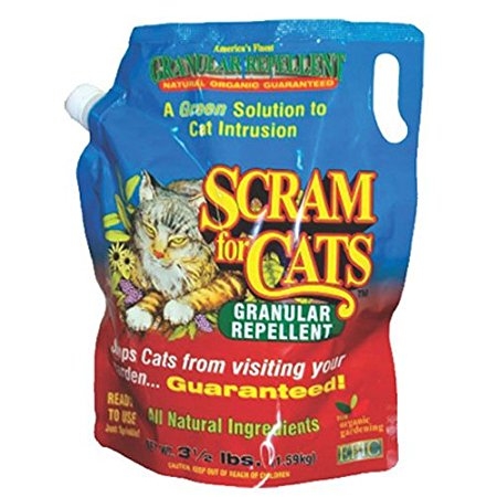 Cat Scram | Scram Products